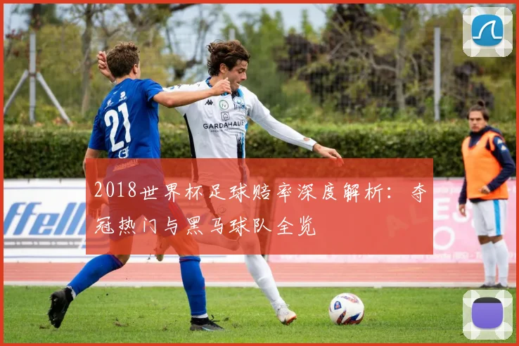 2018世界杯足球赔率深度解析：夺冠热门与黑马球队全览