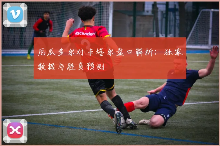 厄瓜多尔对卡塔尔盘口解析:独家数据与胜负预测