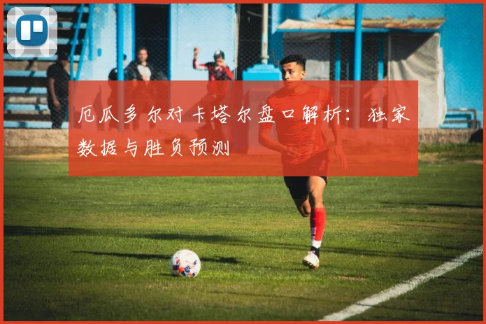厄瓜多尔对卡塔尔盘口解析:独家数据与胜负预测