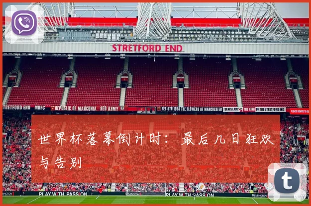 世界杯落幕倒计时：最后几日狂欢与告别