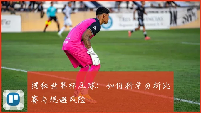 揭秘世界杯压球：如何科学分析比赛与规避风险