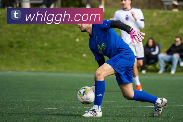 星空体育中国官方网站APP 封面图