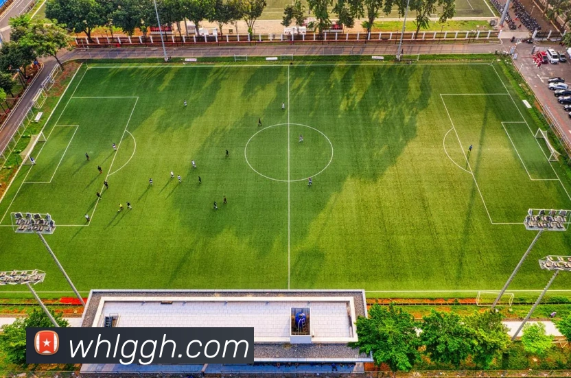 数据防护可视化